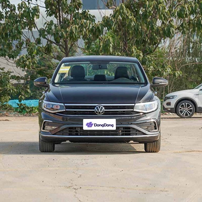 VW-Bora-Front