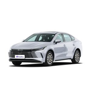 BYD Destroyer 05
