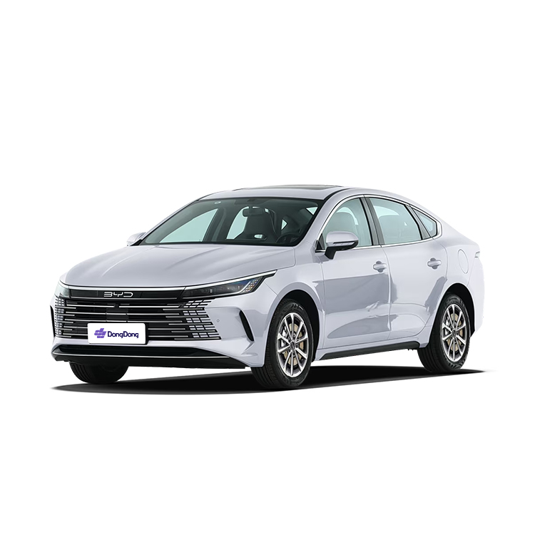 BYD Destroyer 05
