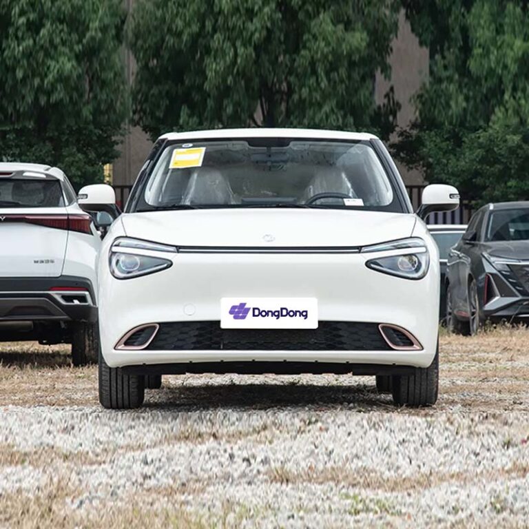 Nammi 01 front