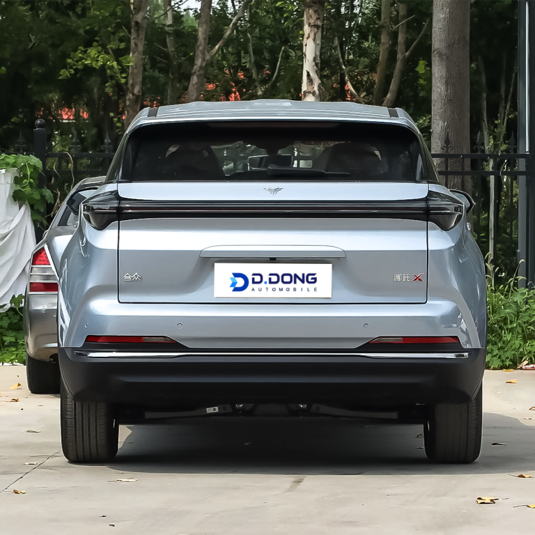 NETA X Rear View
