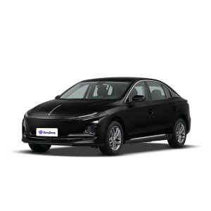 Hongqi E-QM5