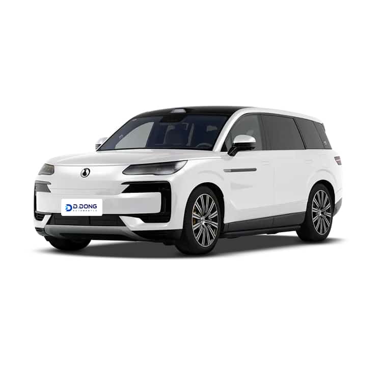 BYD Denza N9 | DDong Automobile