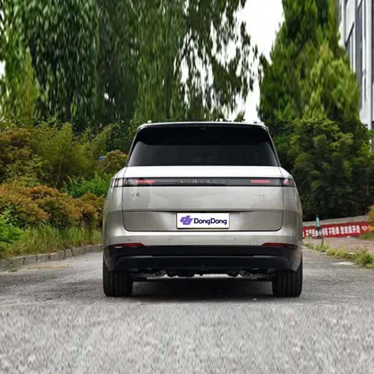LYNK & CO 900 - rear