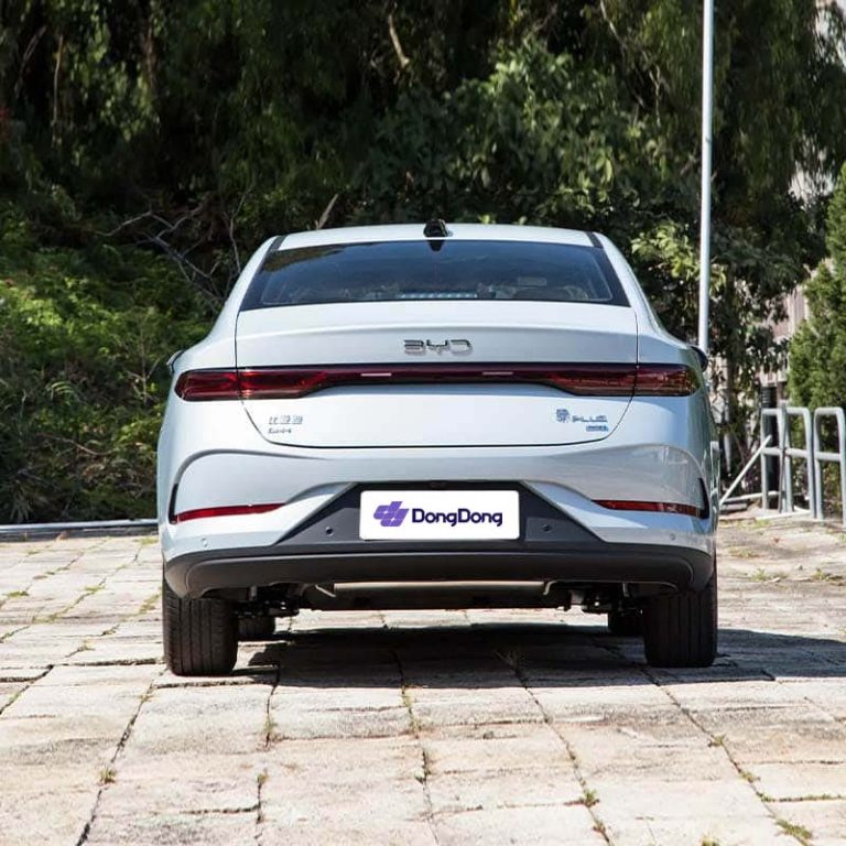 BYD Qin Plus DM - rear