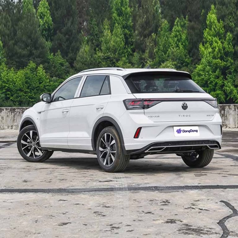 VW-T-Roc-left-rear