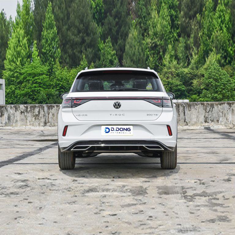 VW-T-Roc-Rear