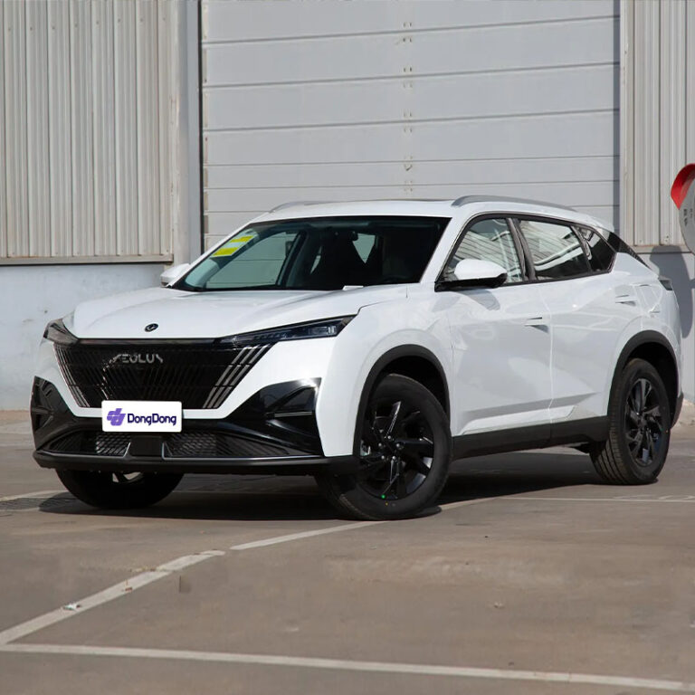 Dongfeng Aeolus Haohan left front