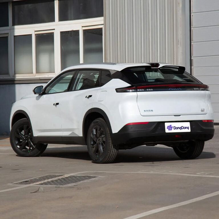Dongfeng Aeolus Haohan left rear