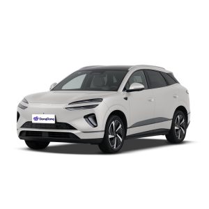 BYD Sea Lion 06 DM