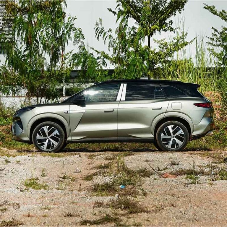 BYD Tang L DM - side