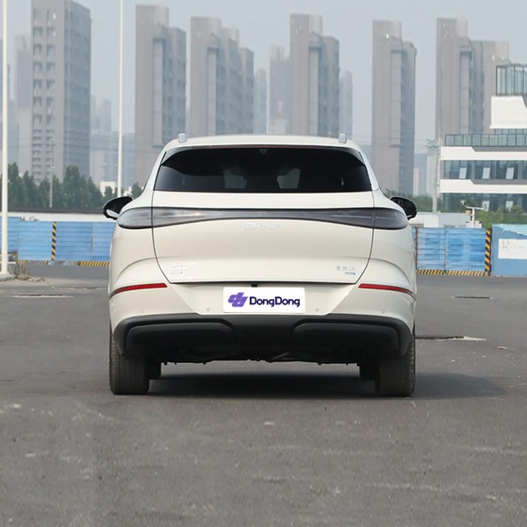 BYD Sea Lion 06 DM - rear