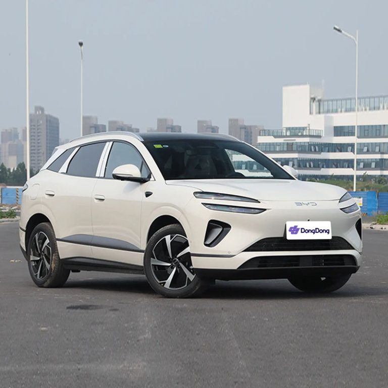 BYD Sea Lion 06 DM - right front