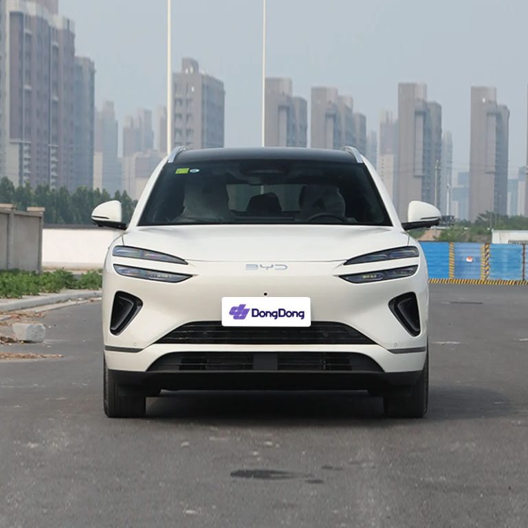 BYD Sea Lion 06 DM - front