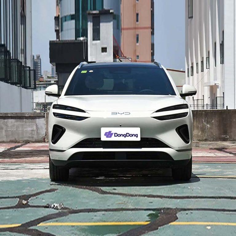 BYD Sea Lion 06 EV - front
