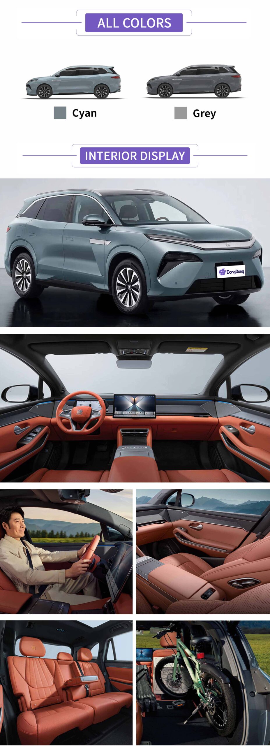 BYD Tang L DM